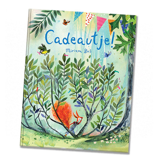 Boek: Cadeautje! - Gesigneerd