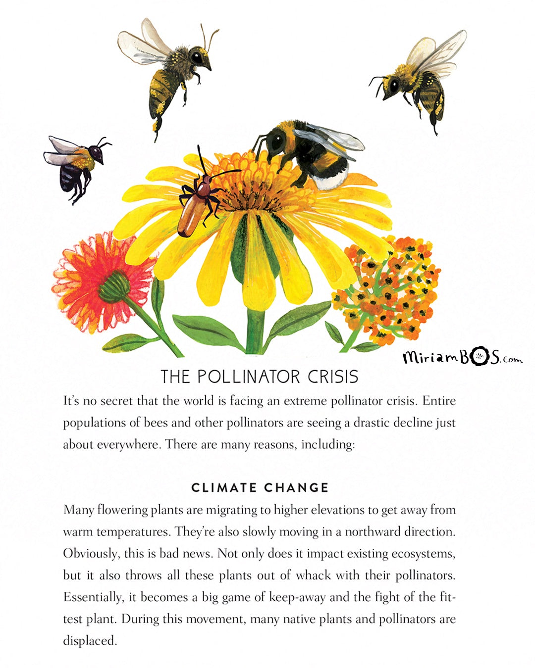 Boek - How to Speak Flower: A Kid's Guide to Buds, Blooms, and Blossoms