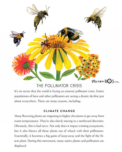 Boek - How to Speak Flower: A Kid's Guide to Buds, Blooms, and Blossoms