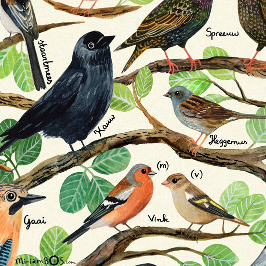 50x70cm  Art Print - Vogels in de tuin - informatieve poster