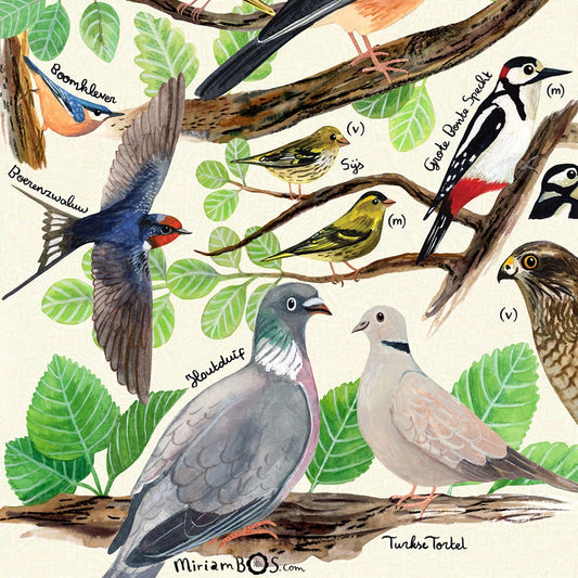 A4 Art Print - Vogels in de tuin zonder titel - informatieve poster