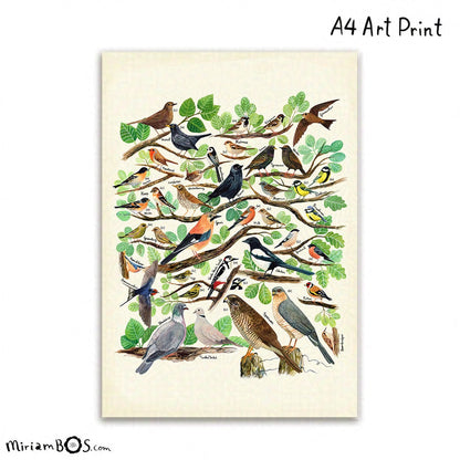 A4 Art Print - Vogels in de tuin zonder titel - informatieve poster
